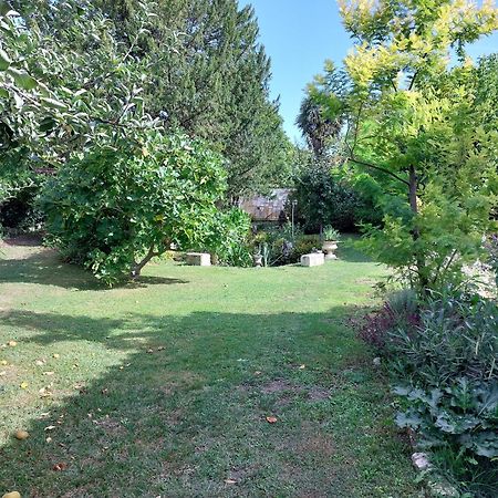 La Gueriniere L'Anglaise Chateauneuf-sur-Charente Екстер'єр фото